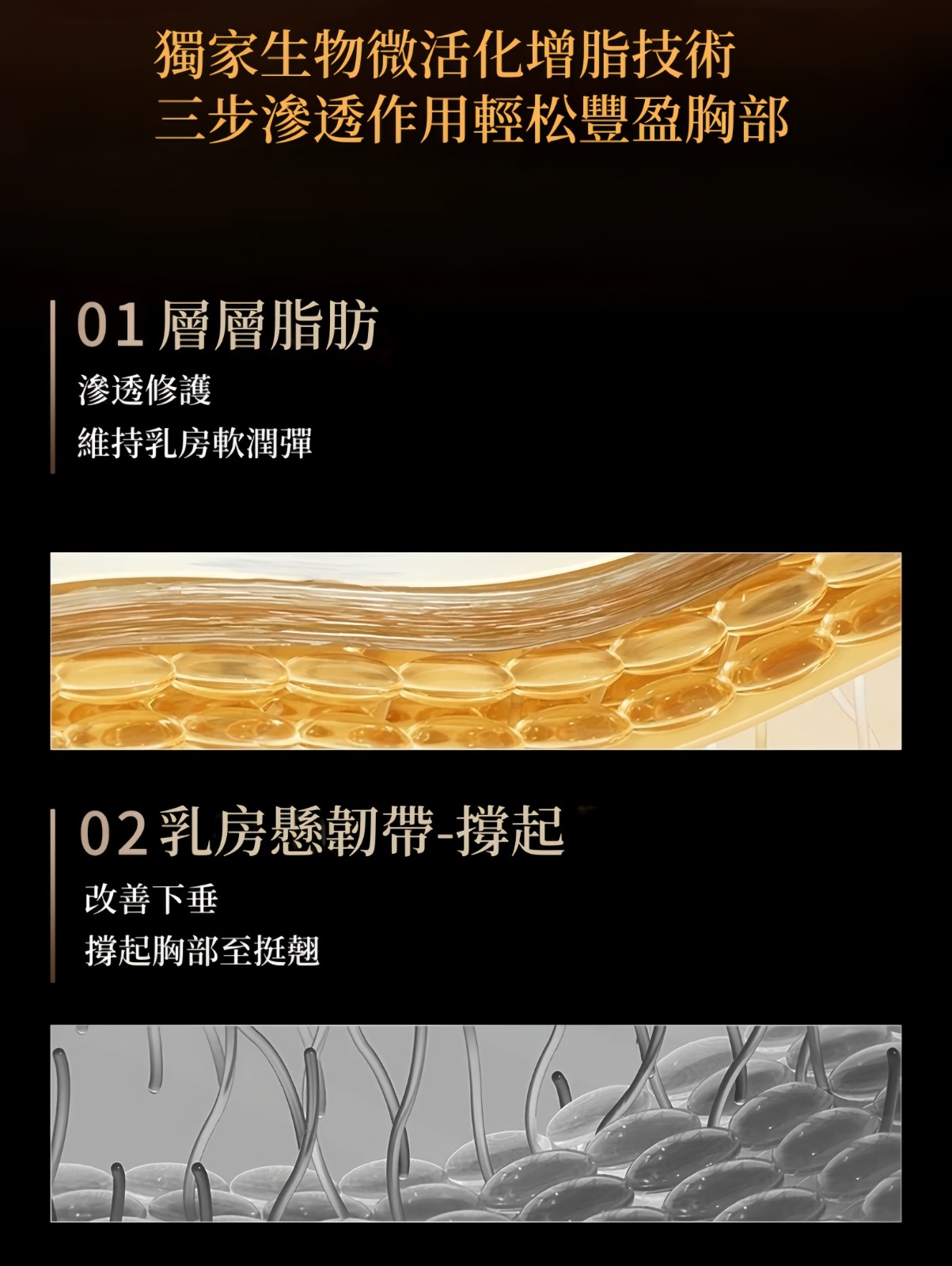 微信图片_20241130025420_副本.jpg